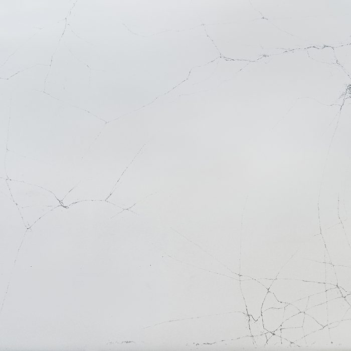 Cobweb