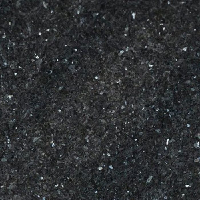 Labrador Oscuro